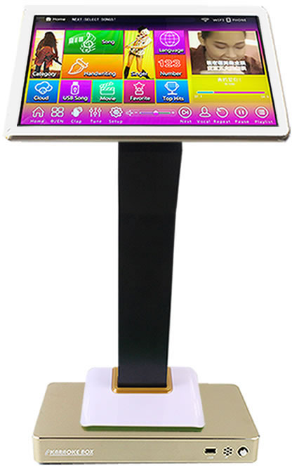 aceume tsr89 touch screen karaoke system